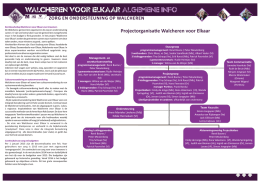projectorganisatie factsheet mei 2014