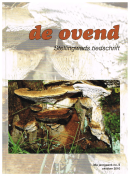 -- Stellingwarfs tiedschrift