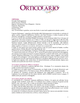La scheda completa con le caratteristiche, i consigli
