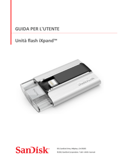 1 - SanDisk