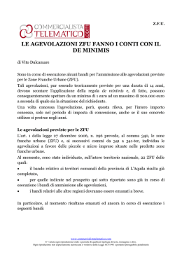 LE ZFU FANNO I CONTI CON IL DE MINIMIS