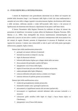 11 &ndash; EVOLUZIONE DELLA SINTOMATOLOGIA I sintomi