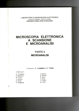 microscopia elettronica a scansione e microanalisi