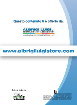 www.albrigiluigistore.com