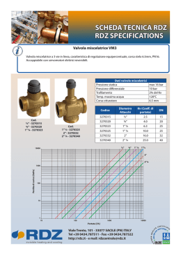 RDZ SPECIFICATIONS SCHEDA TECNICA RDZ