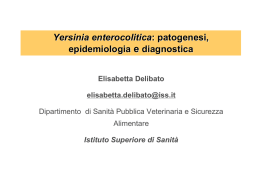 yersinia enterocolitica 2014