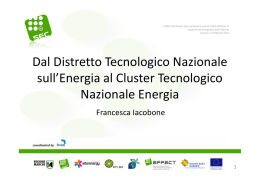 (Microsoft PowerPoint - 20140224_Iacobone.ppt