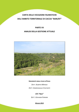 07_partevii_analisi-della-gestione-attuale_finale