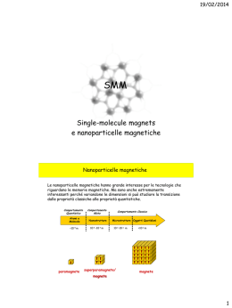 Single-molecule magnets e nanoparticelle magnetiche