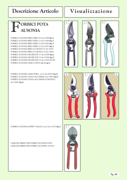 Descrizione Articolo Visualizzazione