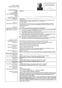 ,LUCA LANINI CURRICULUM VITAE
