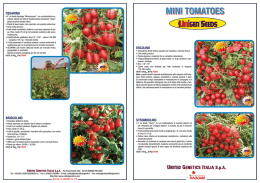 Clicca qui per scaricare il depliant dei Mini Tomatoes.