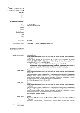 CV - Universit&agrave; degli Studi di Napoli Federico II