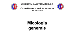 05.micologia generale - Università degli Studi di Perugia