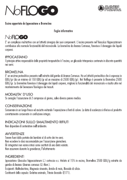 NoFLOGO % - Netminds