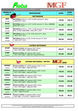 (Prezzi pubblico MGF n\2607.0 - 14-10-11 - iva21.xls)