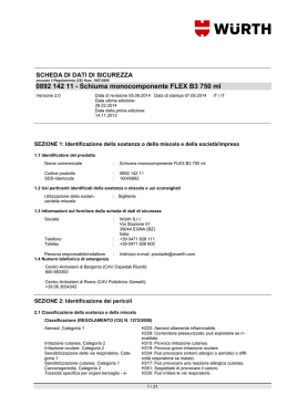 0892 142 11 - Schiuma monocomponente FLEX B3 750 ml