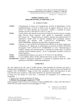 comunicazione direttore-2 - Università degli Studi di Napoli Federico II