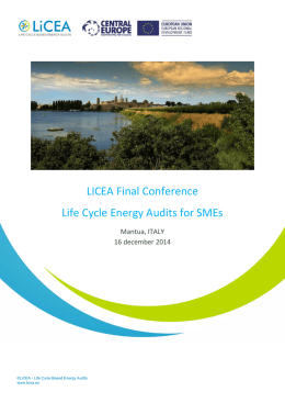 LICEA Transnational Partners Meeting