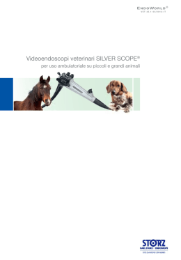 Videoendoscopi veterinari SILVER SCOPE® per uso