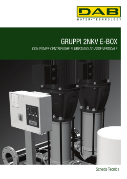 GRUPPI 2NKV E-BOX - DAB Pumps S.p.A.