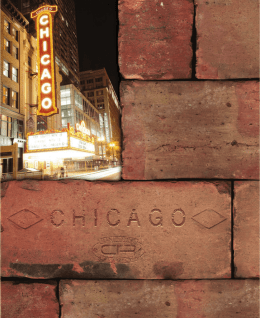 OLD CHICAGO 10x20 . 4”x8”