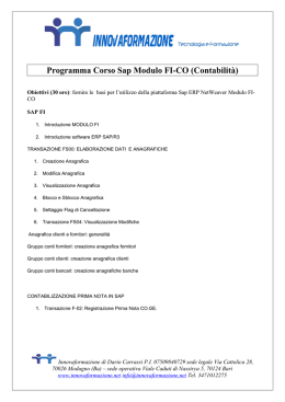 Programma Corso Sap Modulo FI-CO (Contabilit&agrave;)