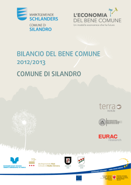 BILANCIO DEL BENE COMUNE 2012/2013 COMUNE DI SILANDRO