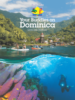 Dominica dutch dec 2015.cdr