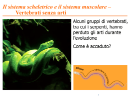 4 - Muscoloscheletrico - Simone Damiano Ph.D.