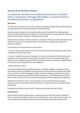 Lezione Arioli