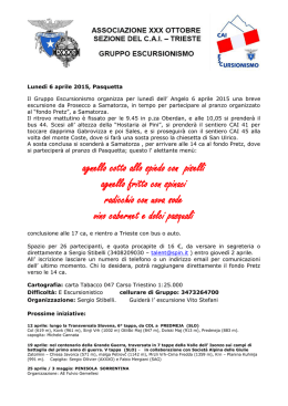 150406 PASQUETA Stibelli..pdf