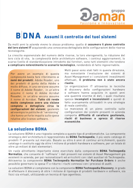 4 pag - Gruppo Daman