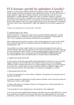 FLY-lezione: perch&eacute; far splendere il lavello?