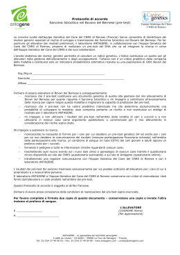 06651 Impugnature a galletto acciaio inox