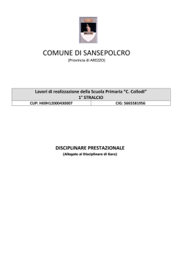 09 Collodi_DP_07 disciplinare prestazionale