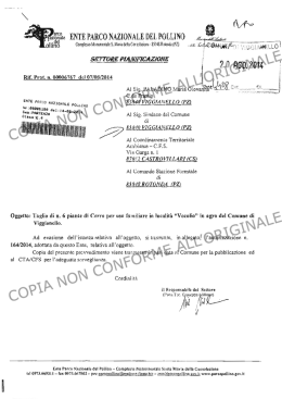 PAP 00498-2014 - Comune di Viggianello