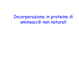 incorporazione di aminoacidi non naturali in proteinepdf - e