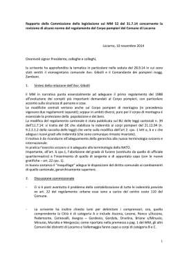 1 Rapporto della Commissione della legislazione sul MM