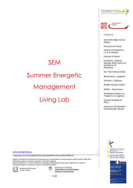 SEM_Report