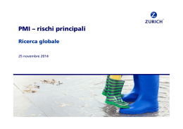 PMI &ndash; rischi principali