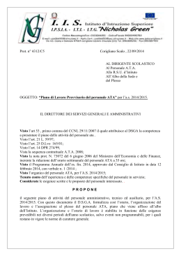Piano lavoro provvisorio Ata
