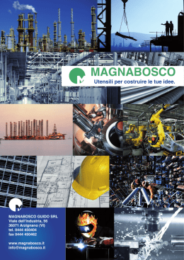 download pdf - Magnabosco Express