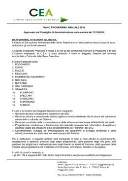 Piano Programma CEA 2014
