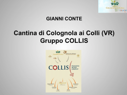 Cantina di Colognola ai Colli (VR) Gruppo COLLIS