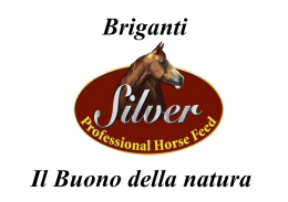 Linea Cavalli Silver Professional Horse feed