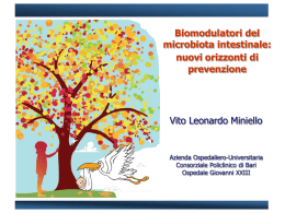 Vito Leonardo Miniello pdf