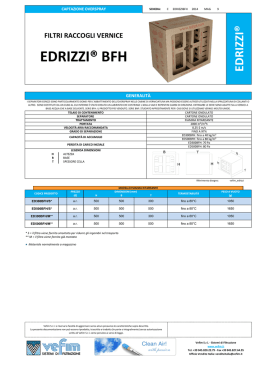 EDRIZZI® BFH