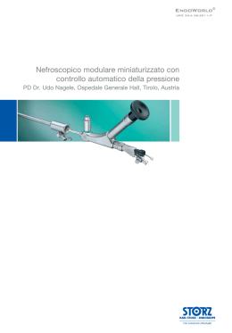 Nefroscopico modulare miniaturizzato con controllo
