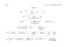 Figura – 3 Genealogia semplificata FIRMATURI secc. XV